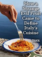 Tomatoes first arrived in Europe 500 years ago, brought by the Arabs who occupied Sicily. Later in Naples, the tomato gave rise to pasta al pomodoro. If there is pasta, there must be tomatoes, and pasta al pomodoro has become central to Italian life.